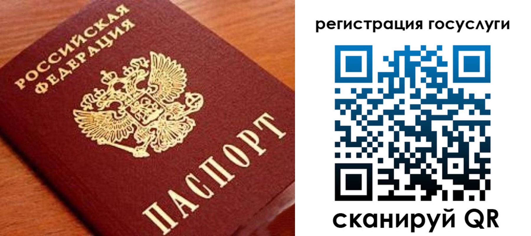 прописка иностранных граждан в Новосибирской области